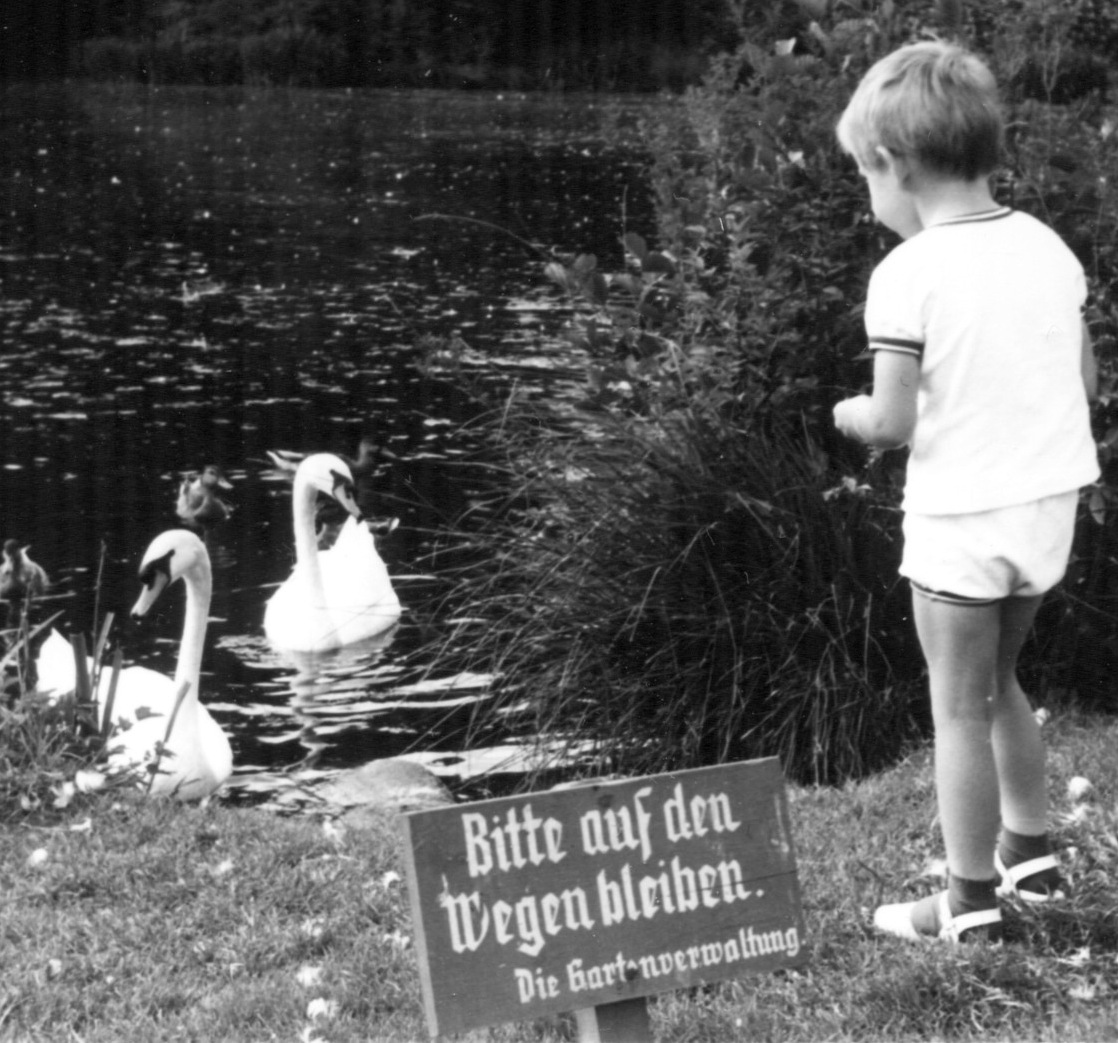 El Lorenzo 12 years old